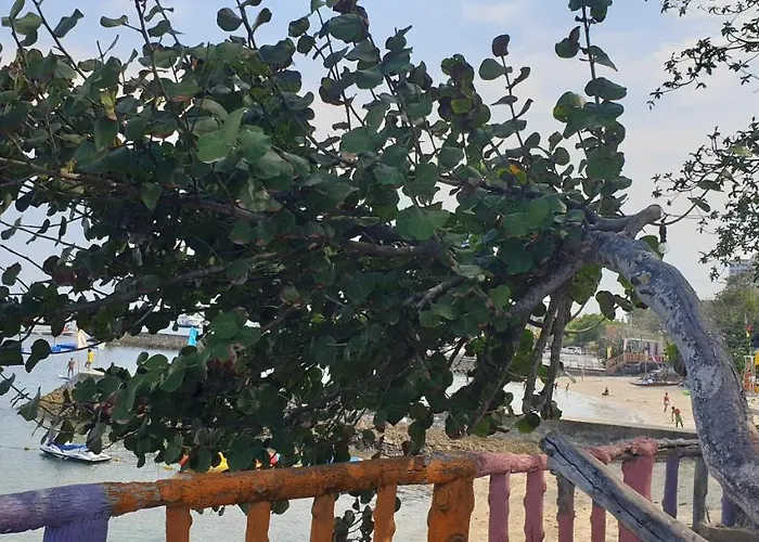 Mactan Newtown With Garden And Ocean View 8newtown Blvd
